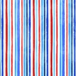 CITY LIMITS STRIPE