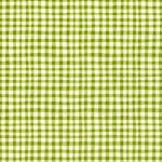 GINGHAM PLAY