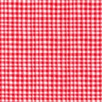 GINGHAM PLAY