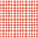 GINGHAM PLAY