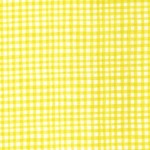 GINGHAM PLAY