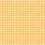 GINGHAM PLAY