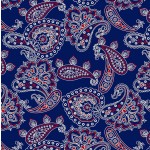 BANDANA ALLOVER