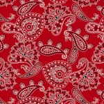 BANDANA ALLOVER