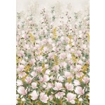 MAGNOLIA BORDER