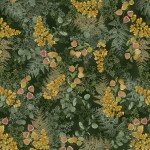 LAYERED FERNS