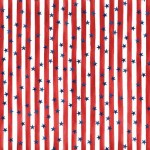 STARS AND STRIPES FOREVER