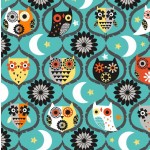 OWL NIGHT LONG