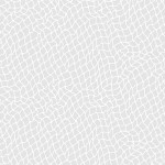 NETWORK