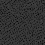 NETWORK