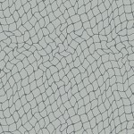 NETWORK