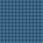 WINDOW PANE PLAID