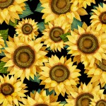 SUNNY DAYS