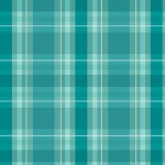 SHINE BRIGHT PLAID