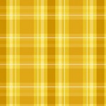 SHINE BRIGHT PLAID