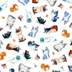 CATS ALLOVER