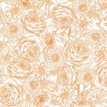 TIMELESS TOILE
