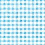 SUMMER GINGHAM