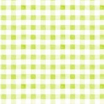 SUMMER GINGHAM