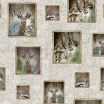 WINDOWS TO THE WILD