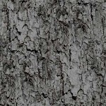 TREE BARK