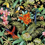 RAINFOREST HABITAT