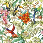 RAINFOREST HABITAT