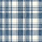 DENIM CHECK
