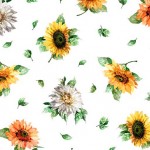 SUNFLOWER SPLENDOR