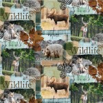 WILD PATCH
