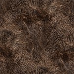 FURRY TEXTURE