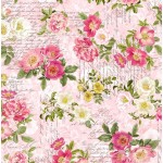LA ROSE