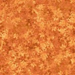 FALL FOLIAGE