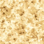 SHINING SEQUENCE