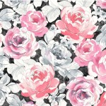 CABBAGE ROSES