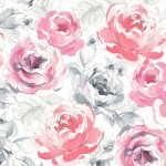 CABBAGE ROSES
