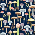 MELLOW MUSHROOMS