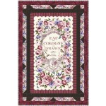 Panel Frames Quilt by Swirly Girls Design /36"x54"