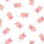 MINI PIG ON MINKY