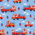 FIREFIGHTER TEAM ON MINKY