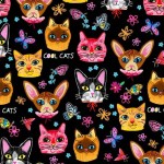 CRAZY CATS ON MINKY