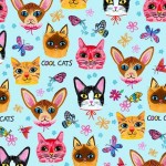 CRAZY CATS ON MINKY