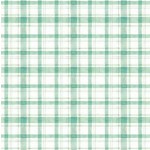 POP UP PLAID ON MINKY