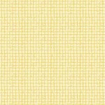 GRID TEXTURES ON MINKY