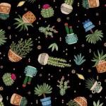 CACTUS PLANTS ON MINKY