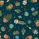 CACTUS PLANTS ON MINKY