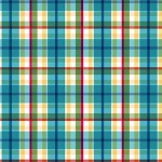 PUEBLO PLAID ON MINKY