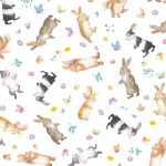 FUNNY BUNNY ON MINKY
