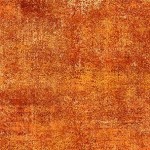 FRESCO ON MINKY