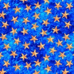 STARS OF THE OCEAN ON MINKY